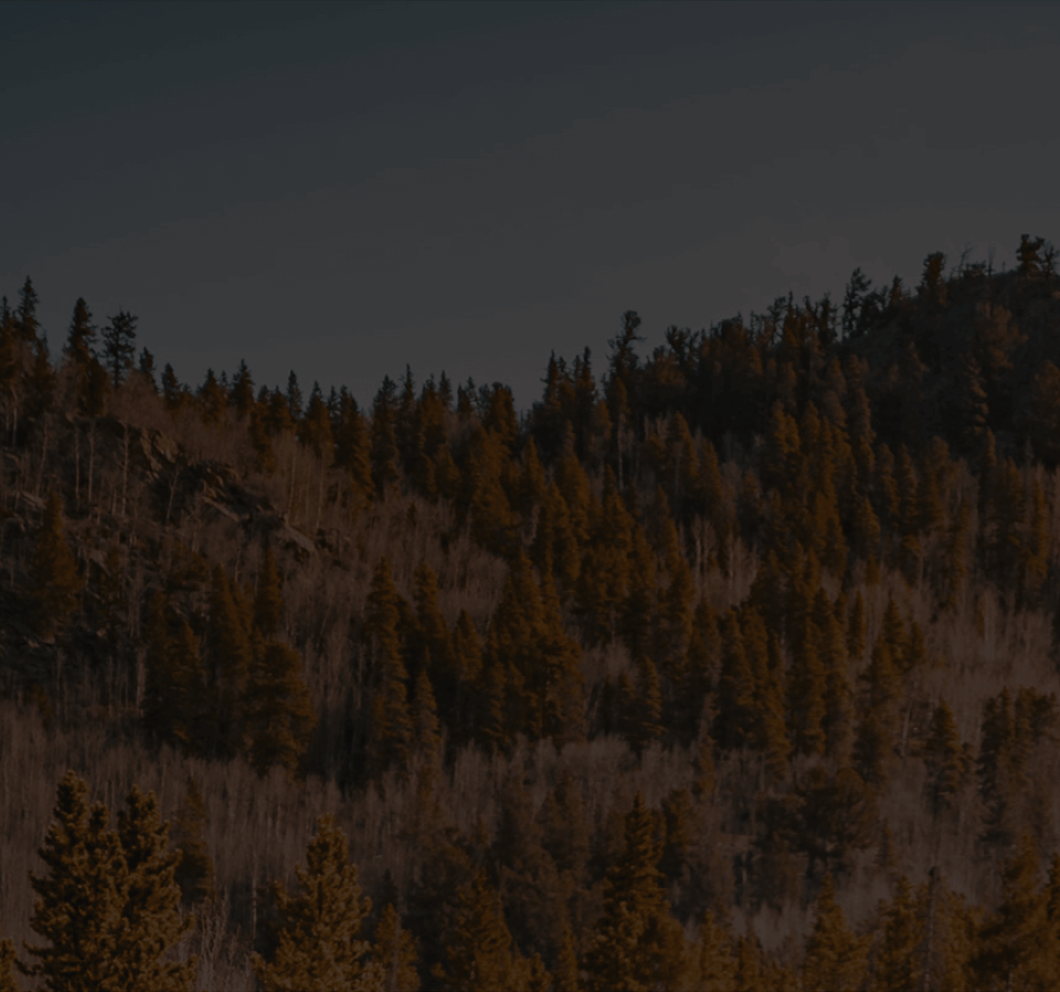 <p>¿Quiénes somos?</p>