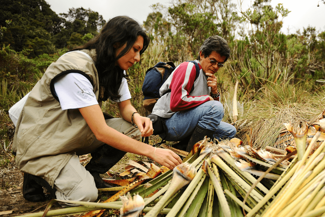 Empoderamiento comunitario